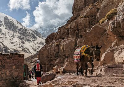 High Atlas Mountains & 3 Valleys Day Trip from Marrakech | Private Full-Day Tour