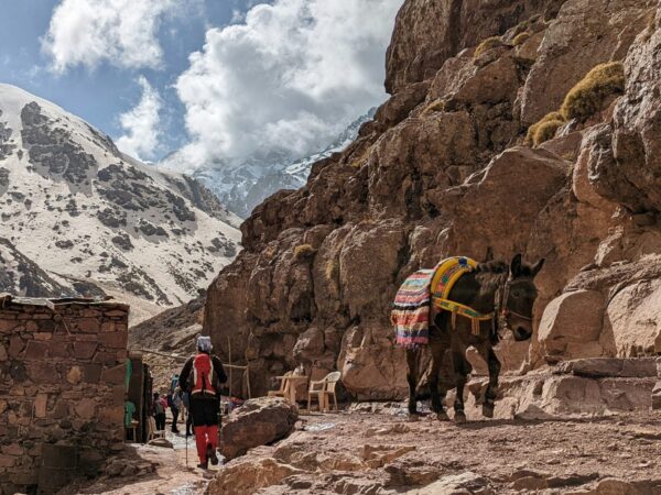 High Atlas Mountains & 3 Valleys Day Trip from Marrakech | Private Full-Day Tour